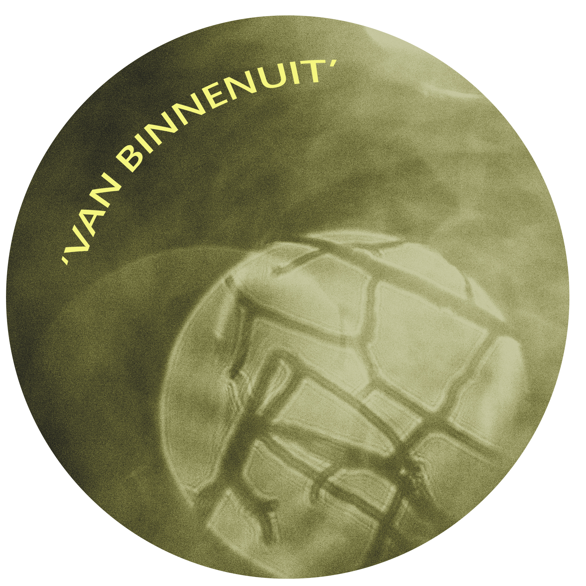 Beeldmerk VanBinnenuit abstract